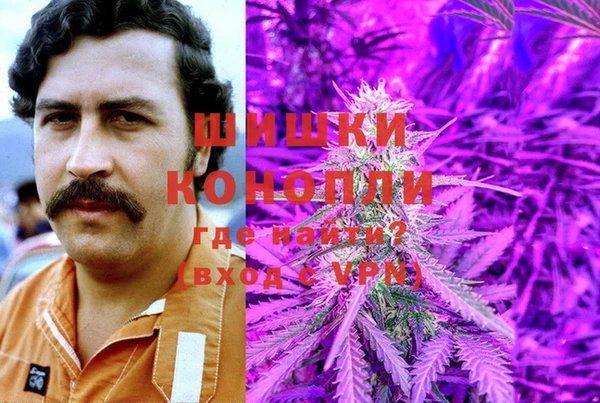 стаф Снежинск