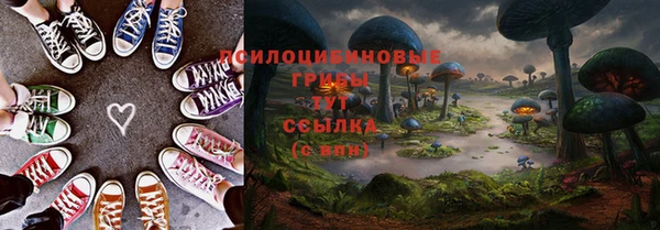 стаф Снежинск