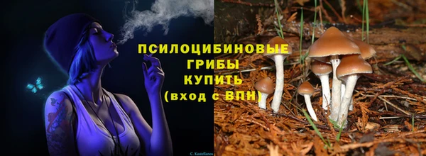PSILOCYBIN Семилуки