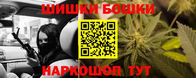 твердый Кингисепп