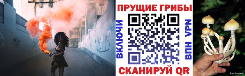 наркошоп  Сухой Лог  Галлюциногенные грибы GOLDEN TEACHER 