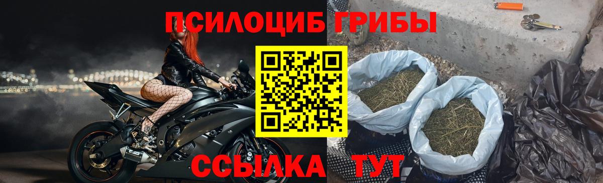 Галлюциногенные грибы Magic Shrooms Сухой Лог